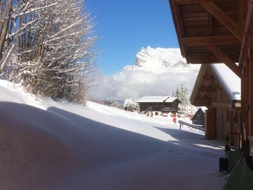Chalet Ibex