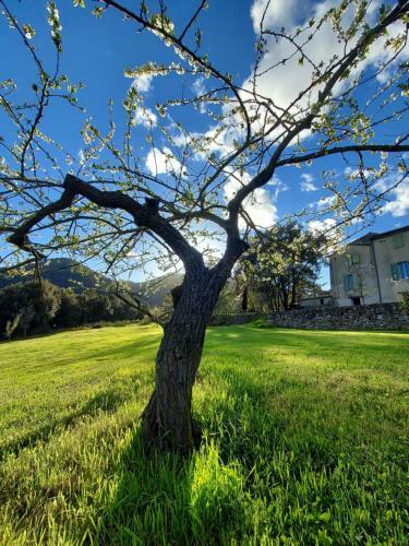 Hostal Les Jardins de Falgui�re