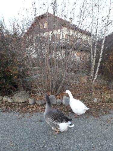 Apartamento Petit Appartement En Montagne