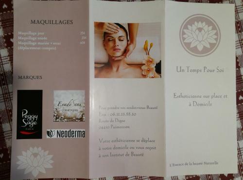 L'enchanteur