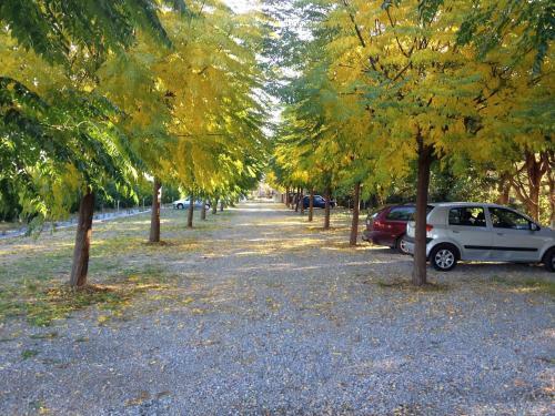 Mas De Cadoule