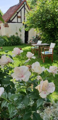 Hostal Avenue Du Ch�teau