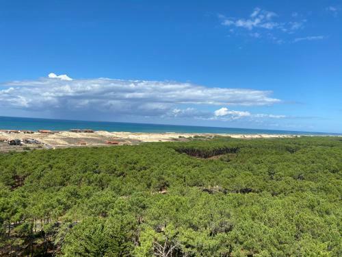 Les Dunes De Contis