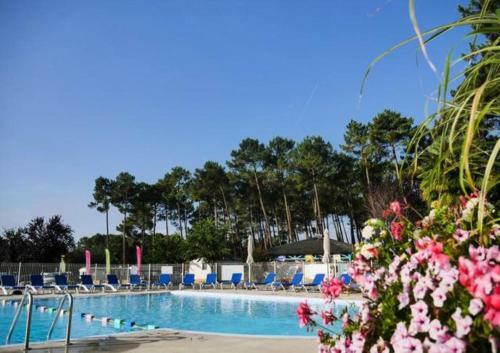 Mobil Home Dunes de Contis