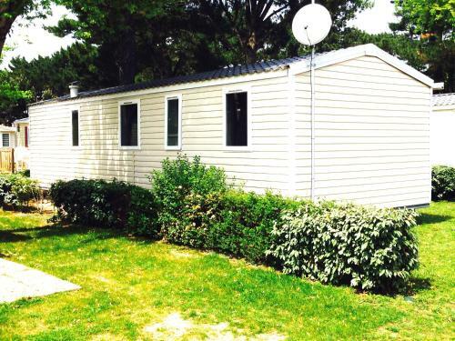 Mobile Home
