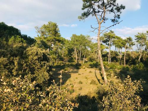 Apartamento Appartement Du Golf, Piscine, For�t Et Plage.