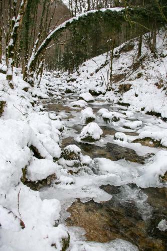 Le Refuge Des Marmottes