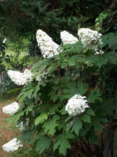 L?escale C�t� Jardin