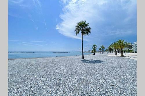 Apartamento Residence Nice - Plage Jolie Studio En Bord de Mer