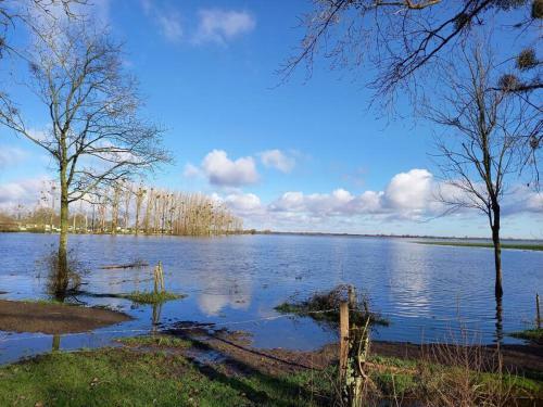 Lac Grand Lieu : Maisonnette Au Calme Avec Jardin