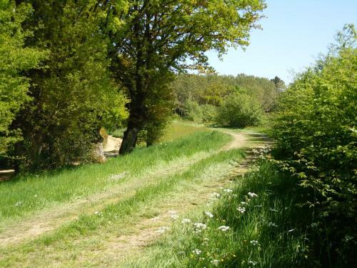 Bed & Breakfast Cabanes Et Chambre � La Bernardiere