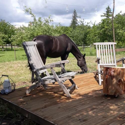 Bed & Breakfast Par Hasard Ou Pas