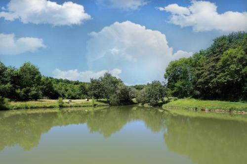 Bed & Breakfast La Mandr�lie