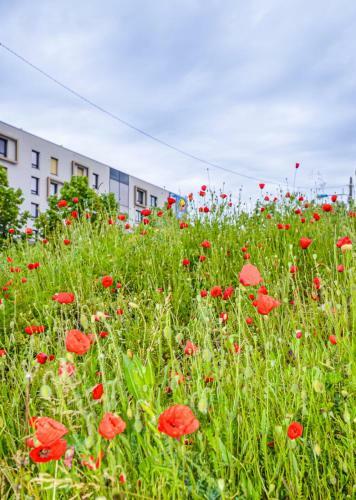 Apartamento Twenty's Business Flats Grenoble Universit�