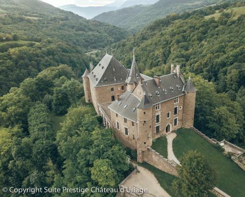 Apartamento Suite Prestige Ch�teau Uriage - Escapade Romantique