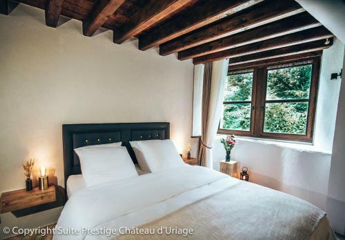 Apartamento Suite Prestige Ch�teau Uriage - Escapade Romantique