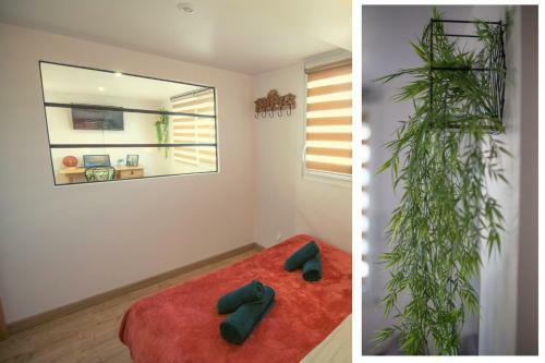 Apartamento Kasa Retro Jungle - Calme Et Cosy