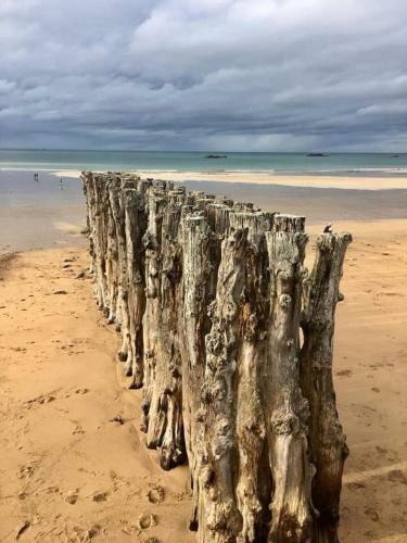 Apartamento L'escale Du Matelot, 80m de La Plage Du Sillon.