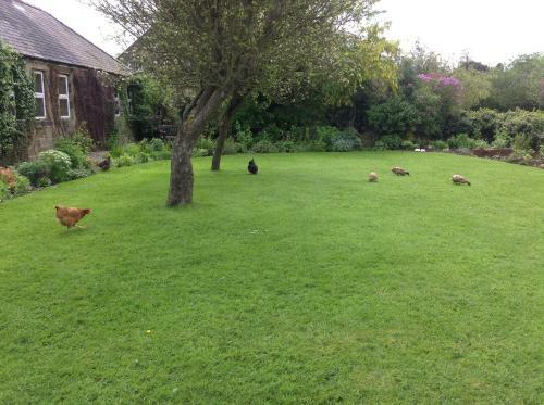 Bed & Breakfast Barnacre