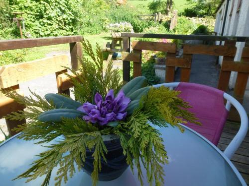 Bed & Breakfast The Head At Middleton