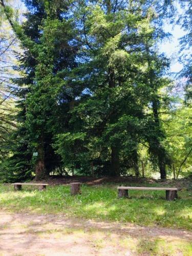 Apartamentos G�te Valescure