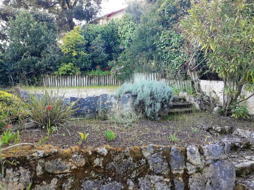 Apartamento Saint Palais Sur Mer - Maison Mitoyenne - Proximit� Plage Et Centre
