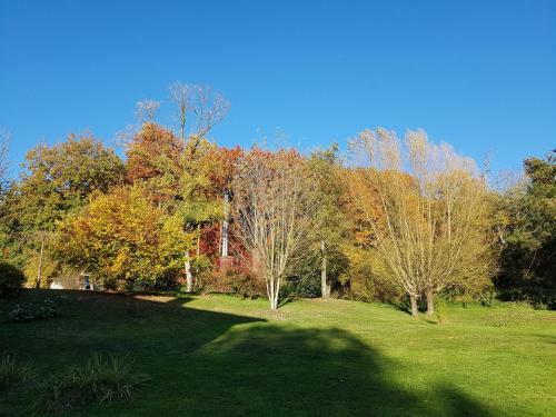 Le Moulin De Varax
