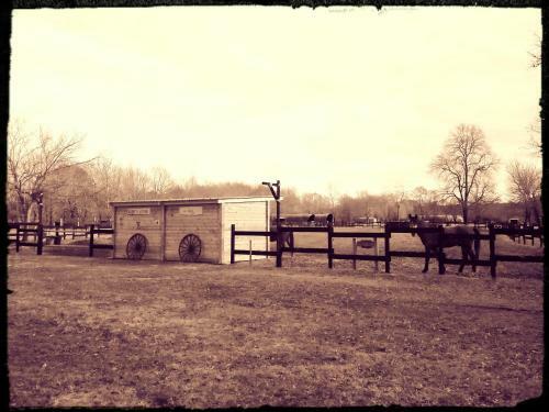 Bed & Breakfast Le Ranch Amadeus