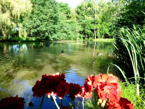 Bed & Breakfast Le Ranch Amadeus