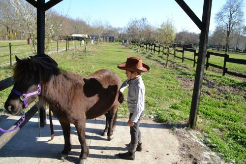 Bed & Breakfast Le Ranch Amadeus