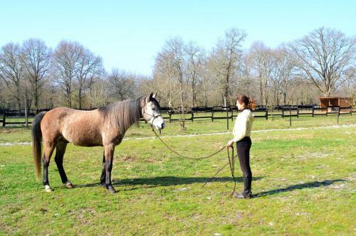 Bed & Breakfast Le Ranch Amadeus