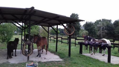 Bed & Breakfast Le Ranch Amadeus
