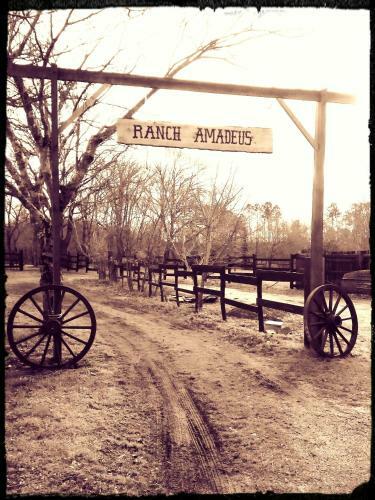 Bed & Breakfast Le Ranch Amadeus