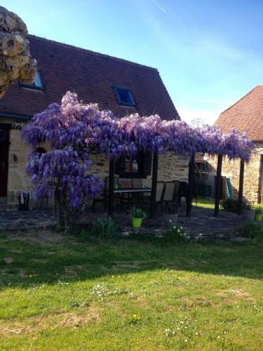 Chez Martin