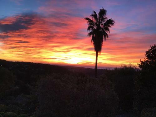 Luxurious Sea View Villa In Saint Paul de Vence