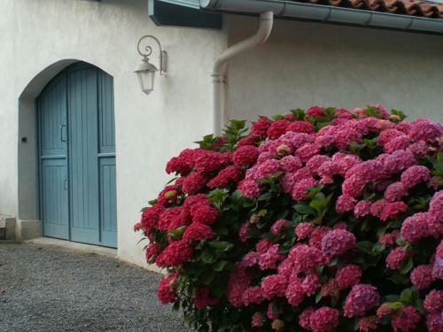 Hostal Bidachuna