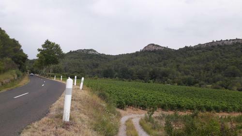 Le Clos Des Vins D'anges