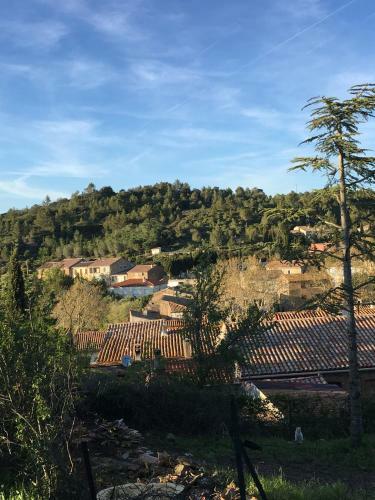 Le Clos Des Vins D'anges