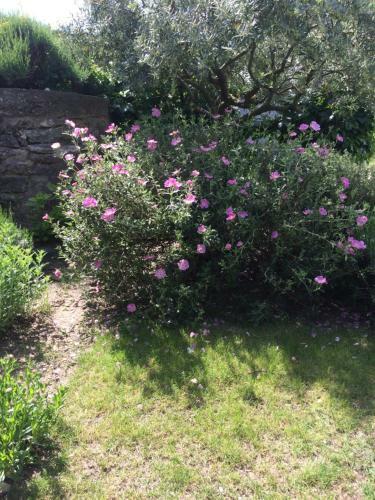 Le Mazet Des Joncs En Provence
