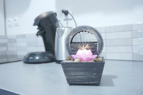 Apartamento Appartement Cosy Centre Ville