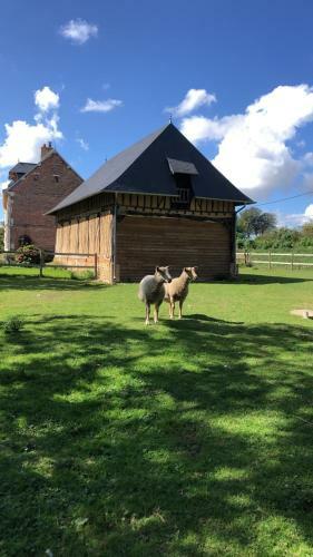 Gite La Ferme Du Mahiel C�t� La Grande �table