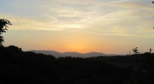 Une Pause Sur La Colline