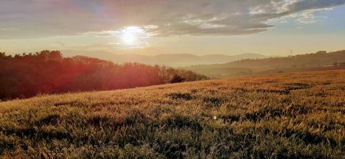 Une Pause Sur La Colline