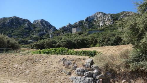 Les Lavandins-gite Fr�d�ric