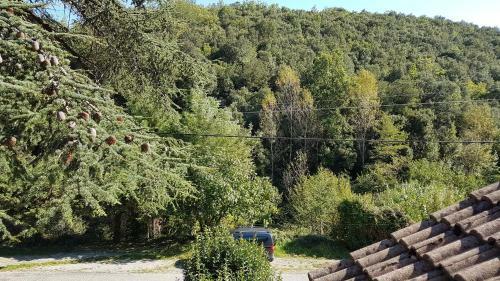Bed & Breakfast Le Clos Du C�dre