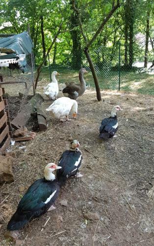 G�te Santenay Les Bains