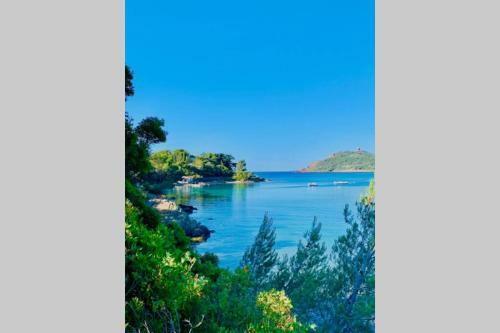 Apartamento Superbe 6 Couchages / Terrasse � 2 Pas de La Mer