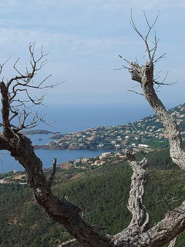 Apartamento Vue Exceptionnelle Sur La Mer Et Le Cap Est�rel