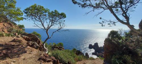 Apartamento Vue Exceptionnelle Sur La Mer Et Le Cap Est�rel