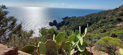 Apartamento Vue Exceptionnelle Sur La Mer Et Le Cap Est�rel